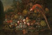 Francis Sartorius Still life with fruits and a parrot oil painting artist